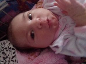 IMG_20131219_114453