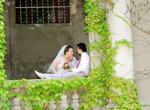 IMG_3036