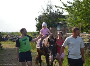 иппотерапия