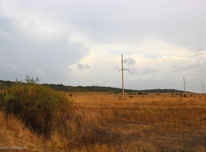 IMG_1171