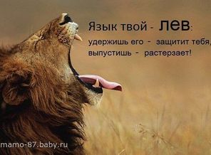 getImage (42)