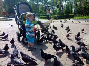 Ближе к природе