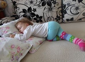 SAM_2508