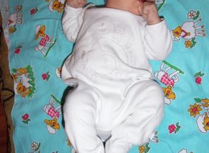 SAM_0055