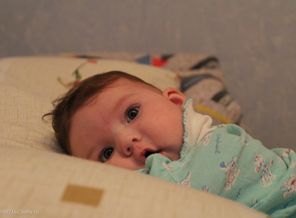 IMG_1730