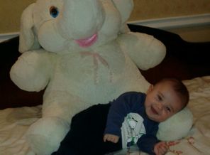IMG-20140921-WA0001