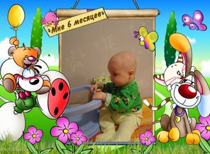 6 мес