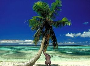 620_480_foto903