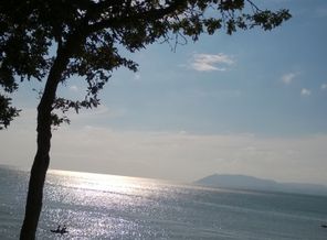 WP_20140819_008