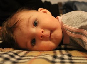IMG_2779