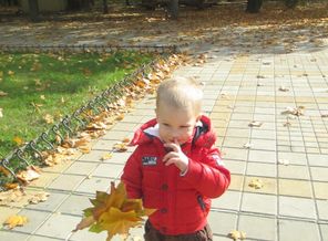IMG_0846