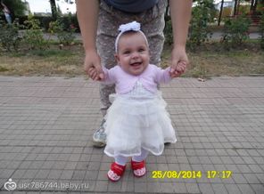 SAM_3678