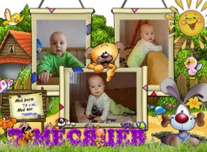 7 мес