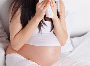 iStock_000013032552Small