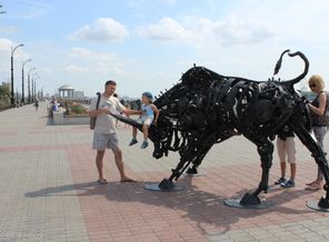 IMG_6477