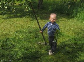 ......слышь,папа косит,а я отношу)