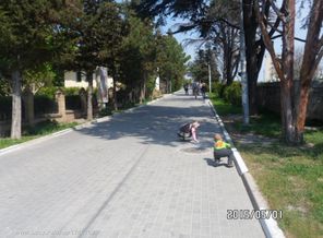 SAM_8371