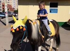 Сына на лошадке)