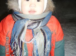 SAM_6606