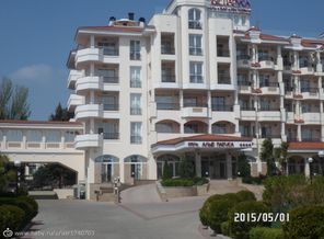 SAM_8367