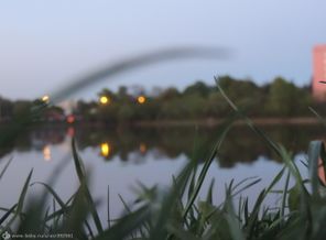 DSCN0751