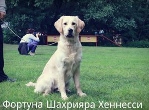 CYMERA_20140615_192537