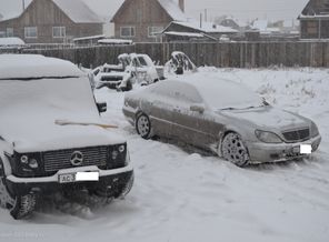 шкода и пав