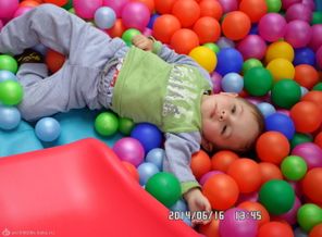 SAM_1913