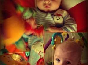 collage Дема