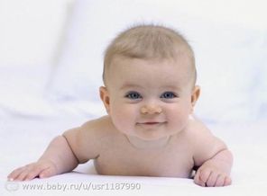 782c93acba3fc7d85b4c5ed260d30708