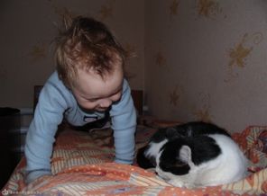 А ну-ка хватит спать, давай спортом заниматься!!!