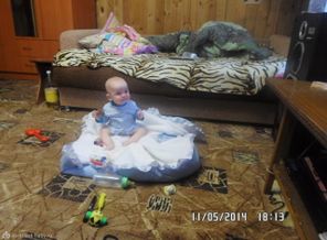 SAM_0919