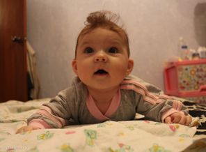 IMG_2588