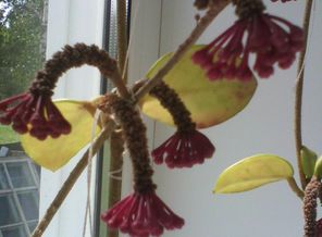 IMG_20130706_121017