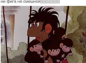 tMAPv_T9e1Q