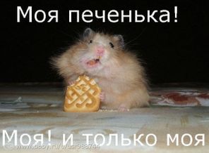 про печеньку