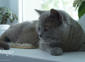 DSC035544