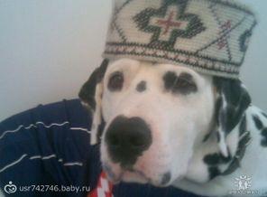 албан