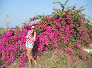 DSCN7953