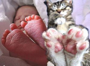 getImage (53)