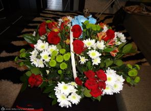 DSC00345