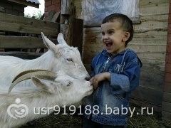 Знакомство Илюшки с козочками)