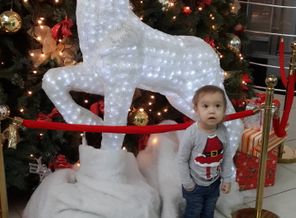 20141227_153233