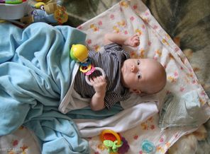 IMG_2951