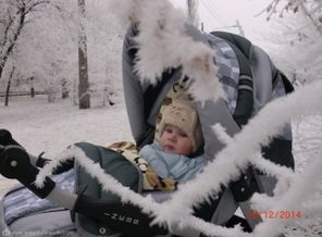 Первый снег