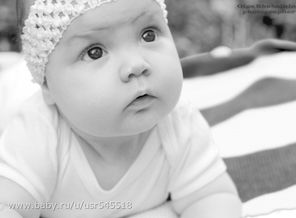 18291_640 (1)