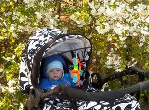 IMG_20140415_142821