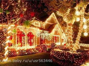 image (22)