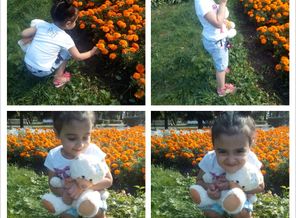 PhotoGrid_1407174529236