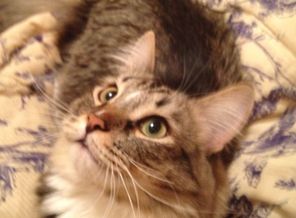 image1414261455.439124
